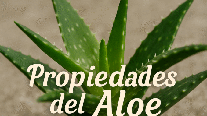 aloe Imagen de primer plano de una planta de aloe vera con texto “Propiedades del Aloe”
