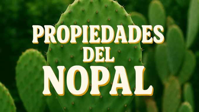 Nopal en primer plano con fondo de vegetación, mostrando el texto “Propiedades del Nopal”, ideal para contenido de salud, nutrición y plantas medicinales